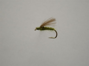 Size 12 F-Fly Olive CDC